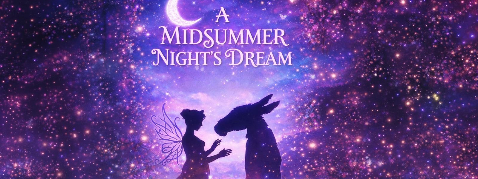 A MİDSUMMER NIGHT'S DREAM resmi
